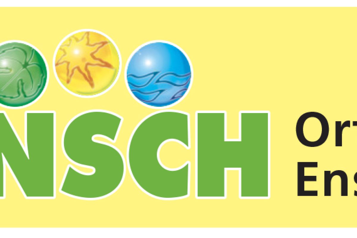 Logo Dorfmod-Ensch